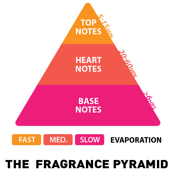 klima inerti Detektiv What Are Fragrance Notes? - Top, Middle & Base Notes | ACS promotions